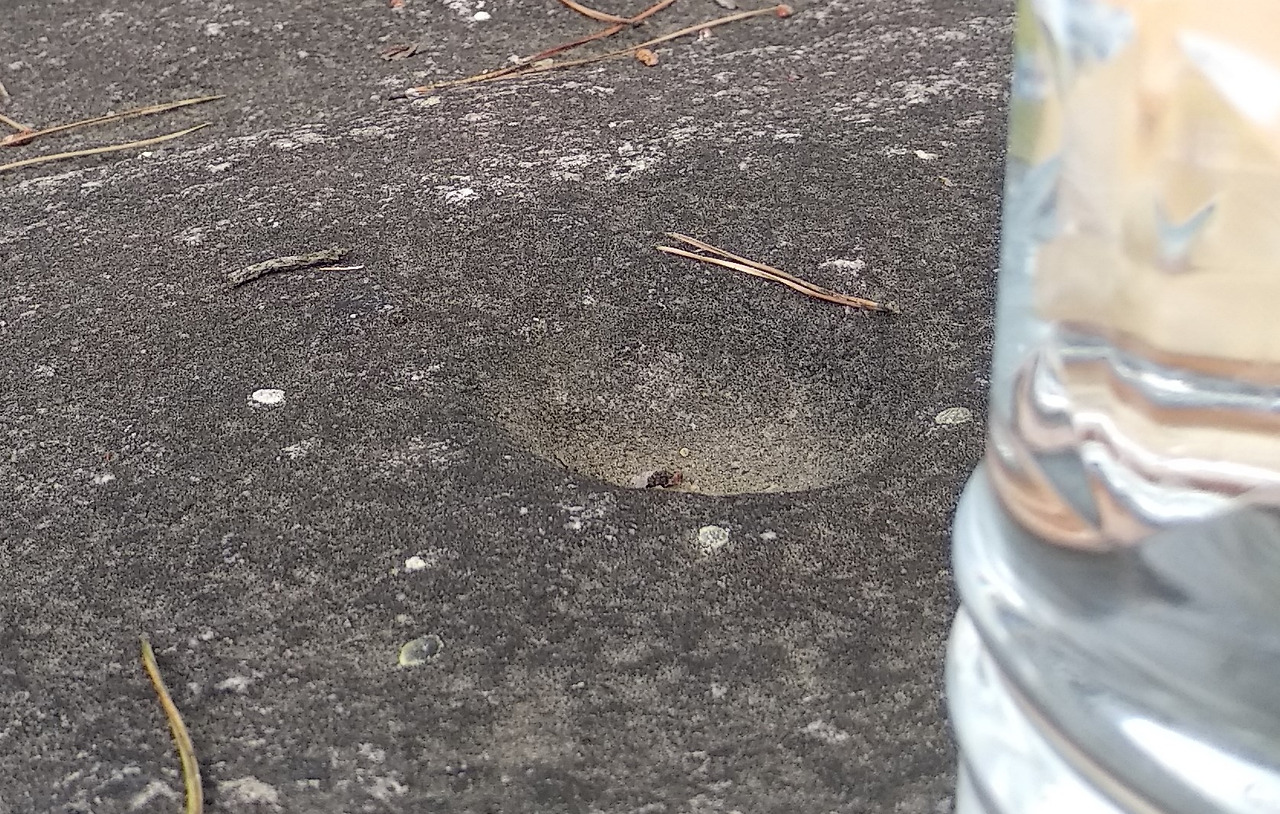 KakaoTalk_20190622_115916016 (2).jpg