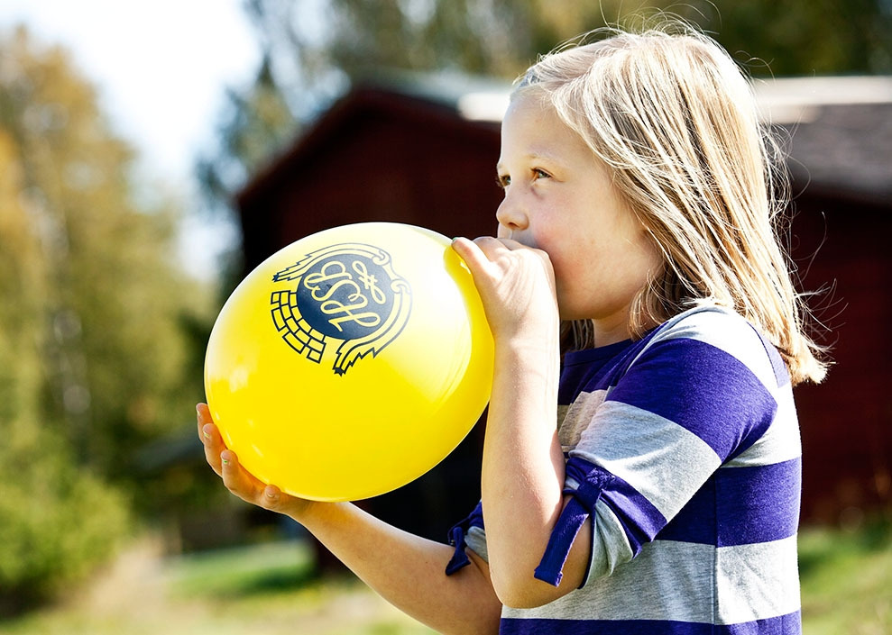 04_HSB_press_hsbisamhallet in vill.jpg