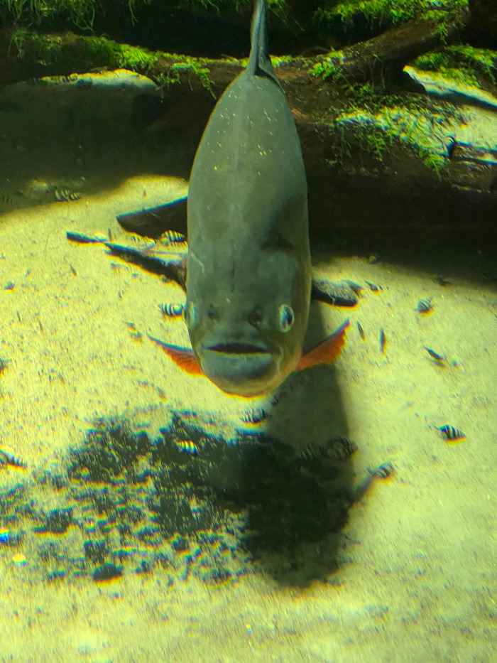 Foto 07.09.23, 16 00 42.jpg