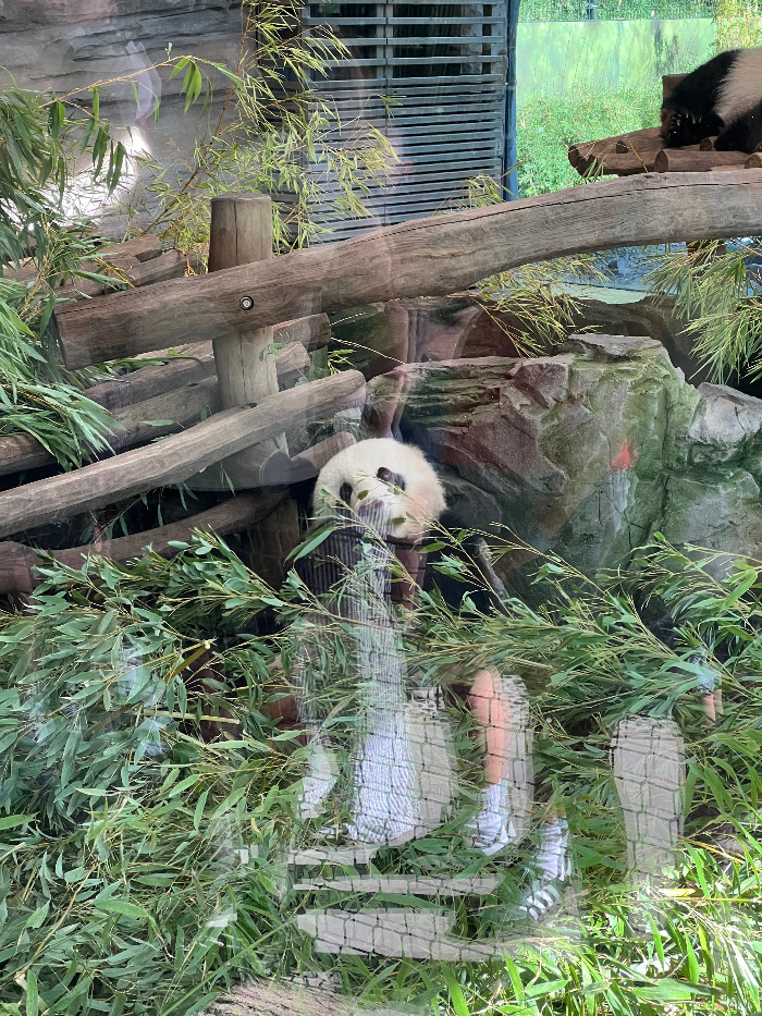 Foto 07.09.23, 15 08 18.jpg