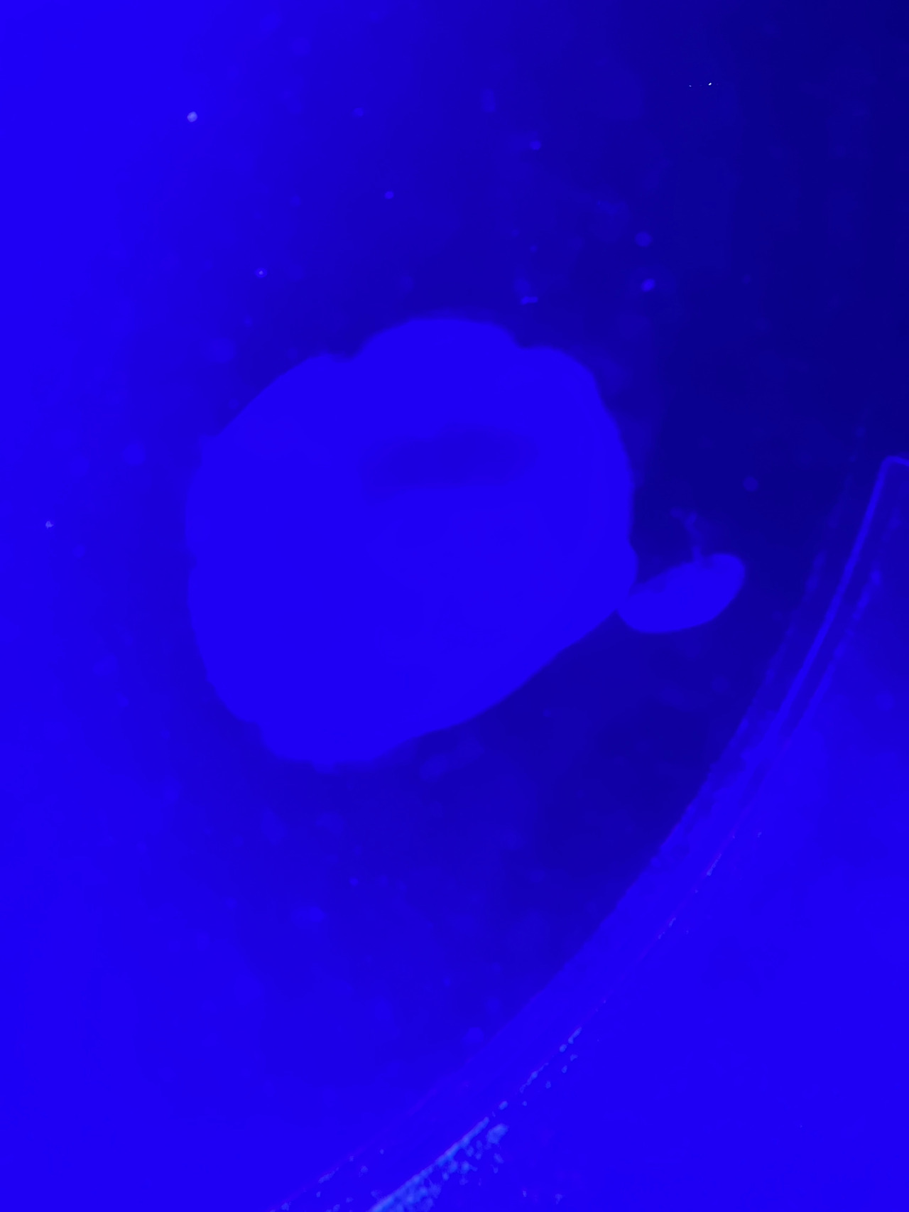 Foto 07.09.23, 16 03 20.jpg