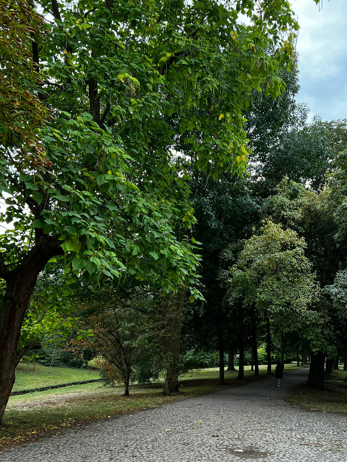 Foto 10.09.22, 16 07 58.jpg