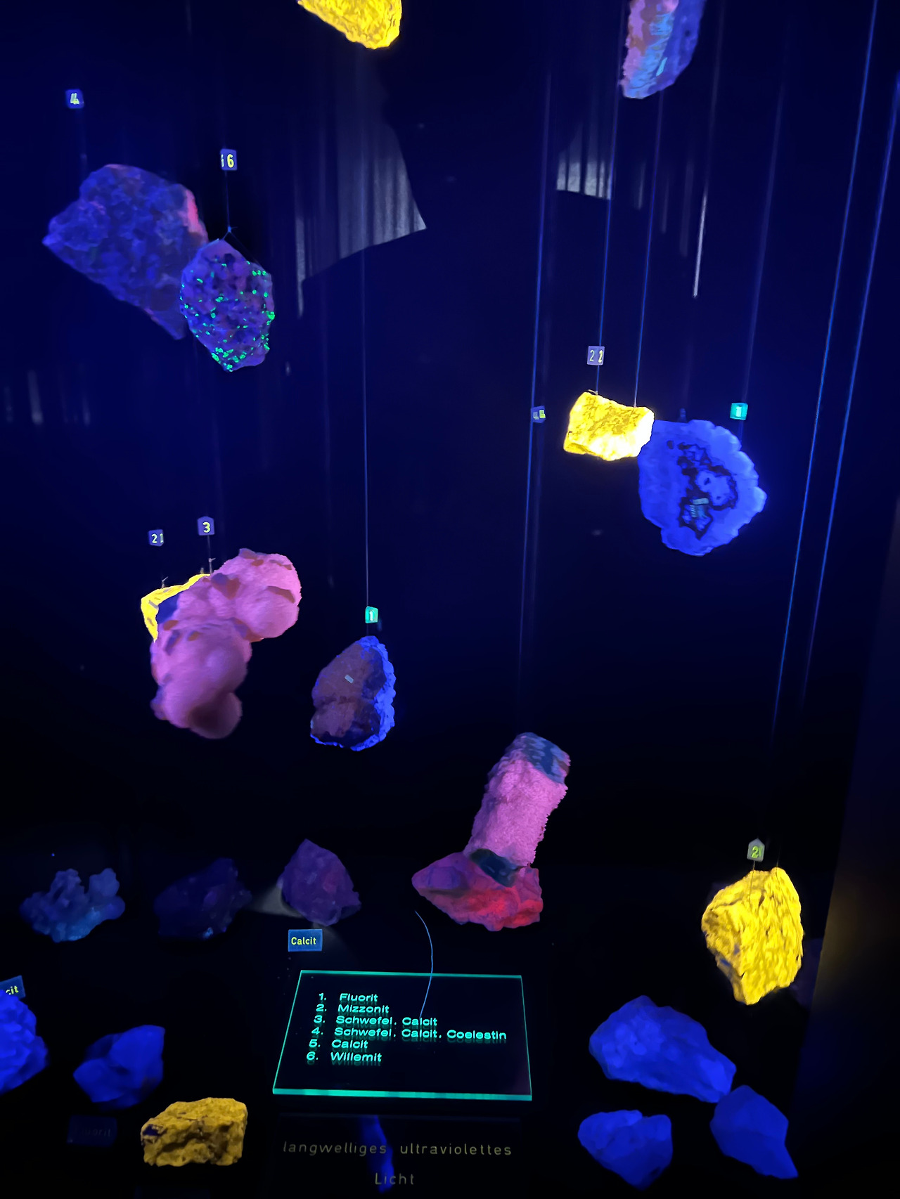 Foto 08.10.23, 13 15 33.jpg