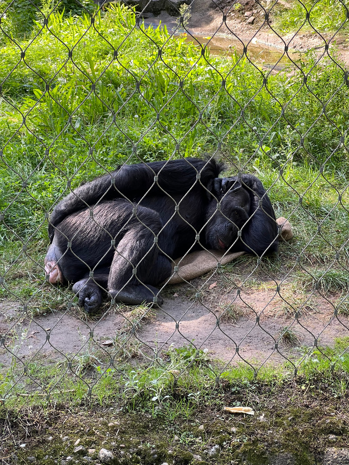 Foto 07.09.23, 13 14 32.jpg