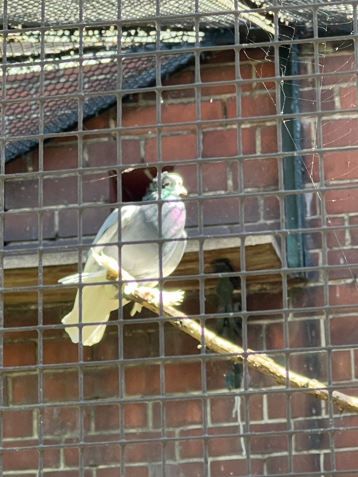 Foto 07.09.23, 12 56 45.jpg