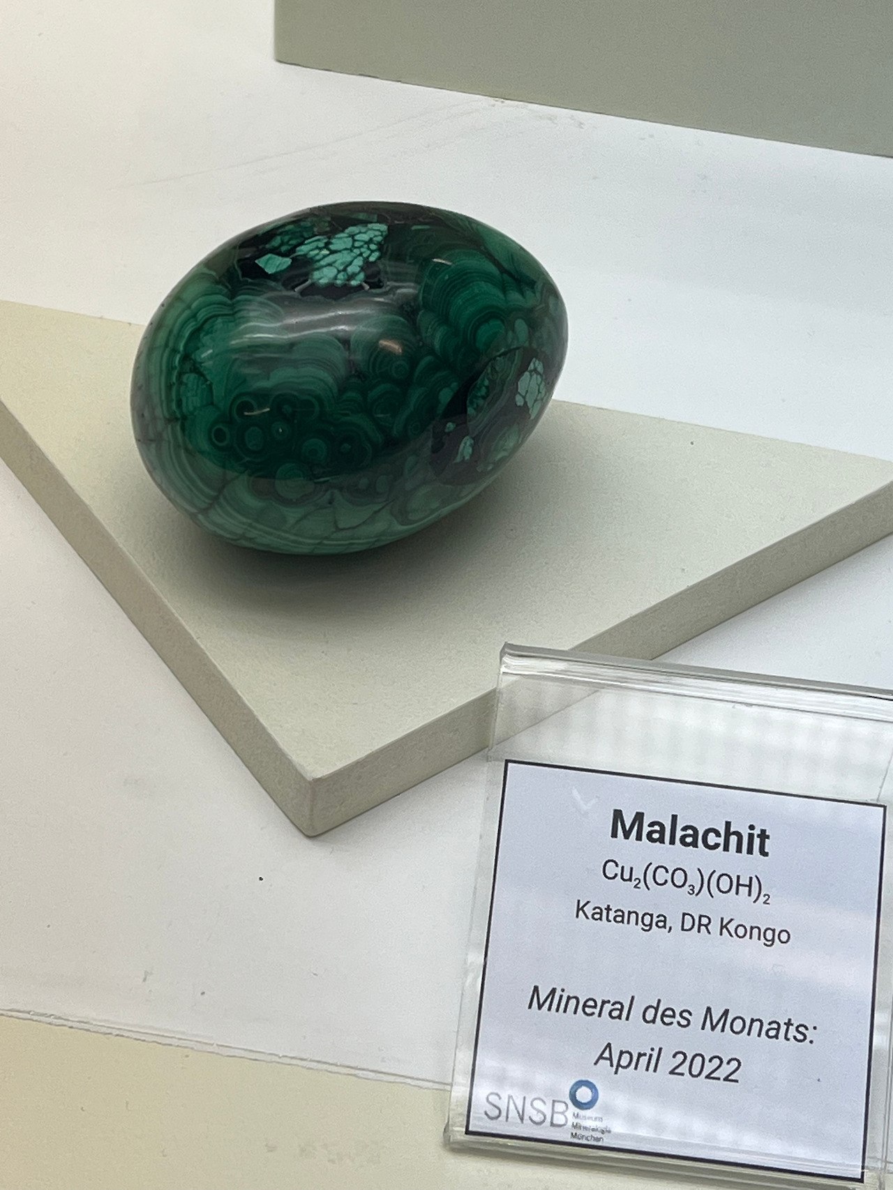 Foto 08.10.23, 13 28 48.jpg