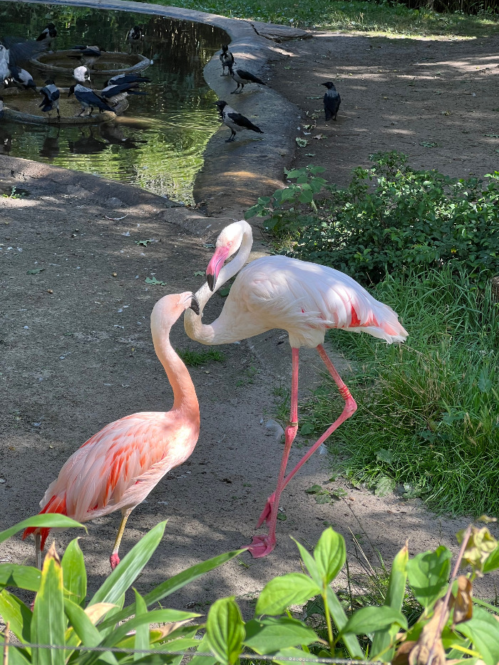 Foto 07.09.23, 13 01 19.jpg