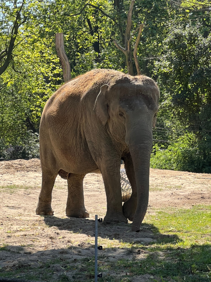 Foto 07.09.23, 12 51 25.jpg