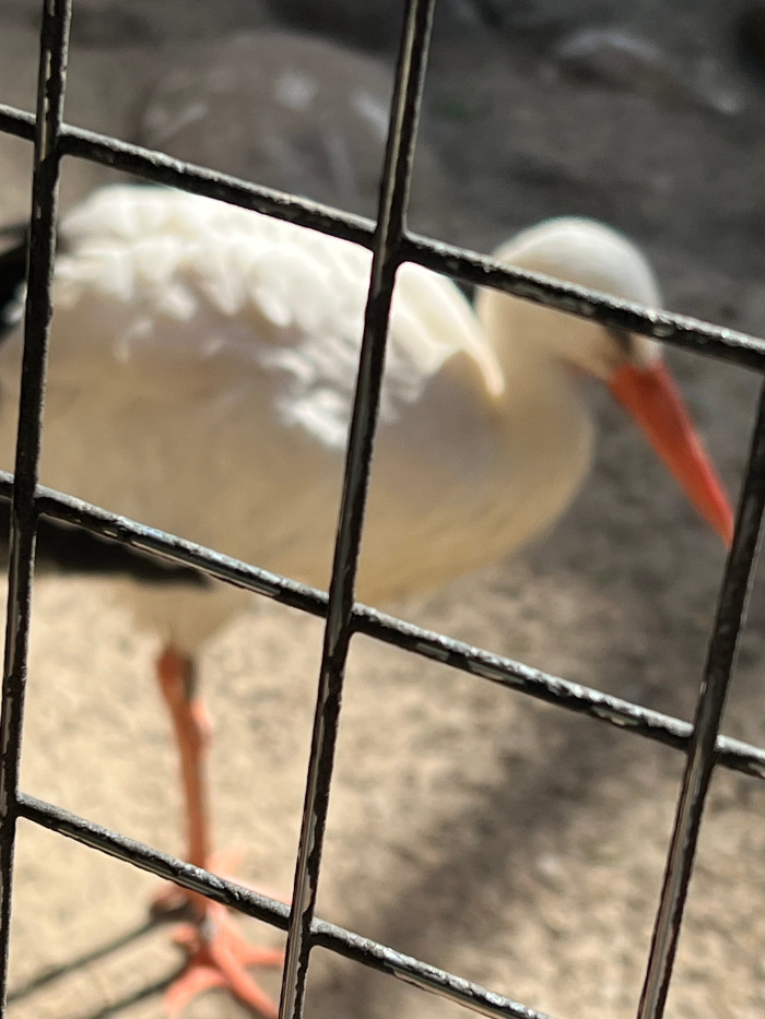 Foto 07.09.23, 13 12 16.jpg