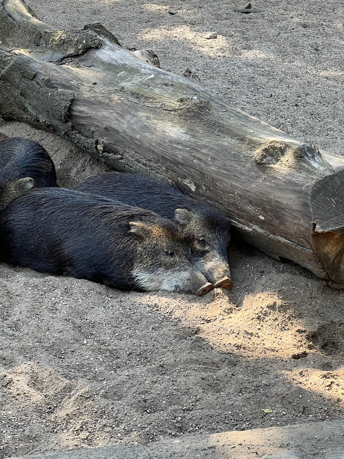 Foto 07.09.23, 13 36 46.jpg