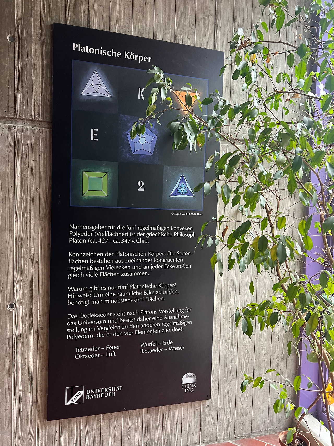 Foto 03.11.23, 13 47 13.jpg