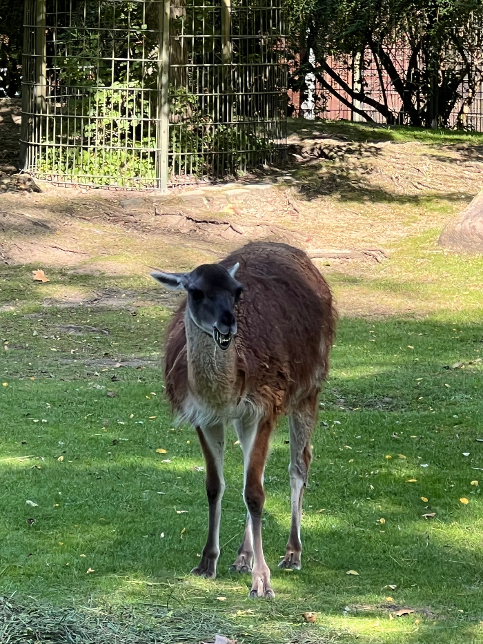 Foto 07.09.23, 14 49 37.jpg