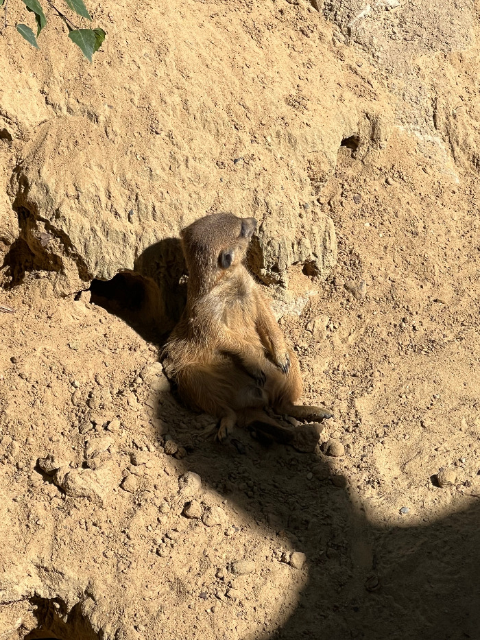 Foto 07.09.23, 13 03 28.jpg