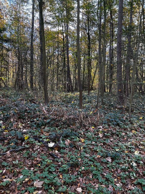 Foto 15.11.22, 10 06 04.jpg