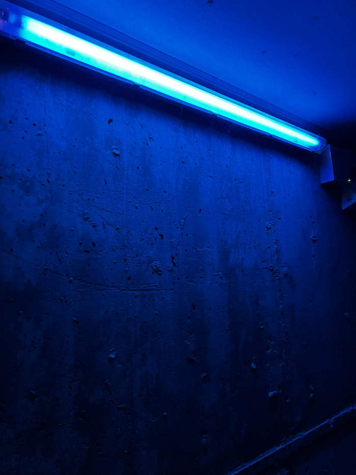 Foto 11.09.22, 13 25 24.jpg