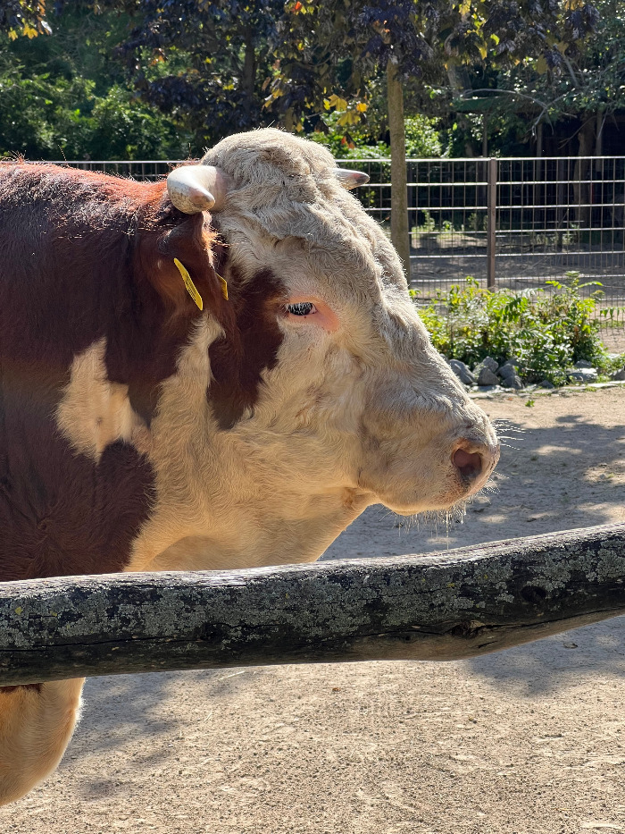 Foto 07.09.23, 15 23 17.jpg