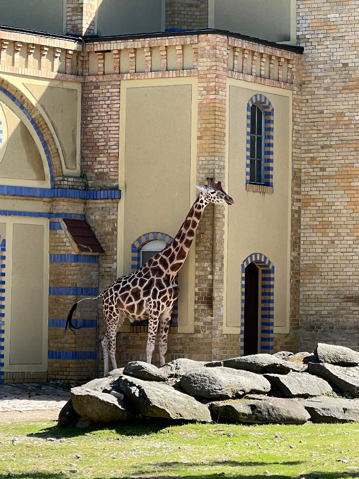 Foto 07.09.23, 13 24 40.jpg