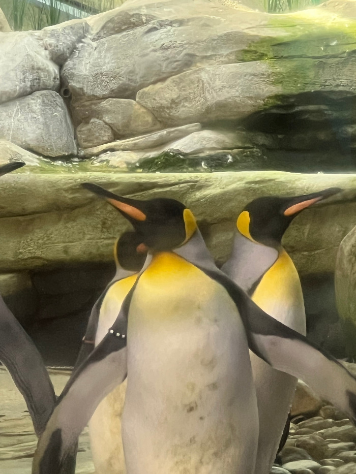 Foto 07.09.23, 13 44 49.jpg