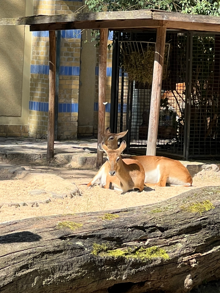 Foto 07.09.23, 13 18 41.jpg