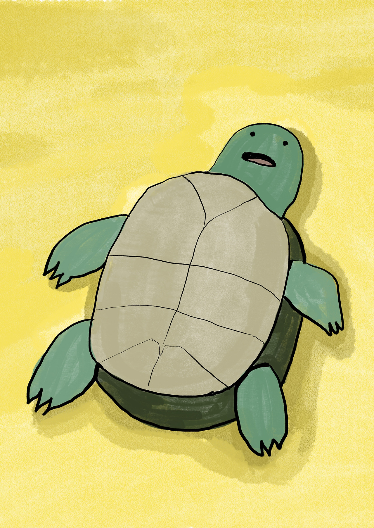 거북이.jpg