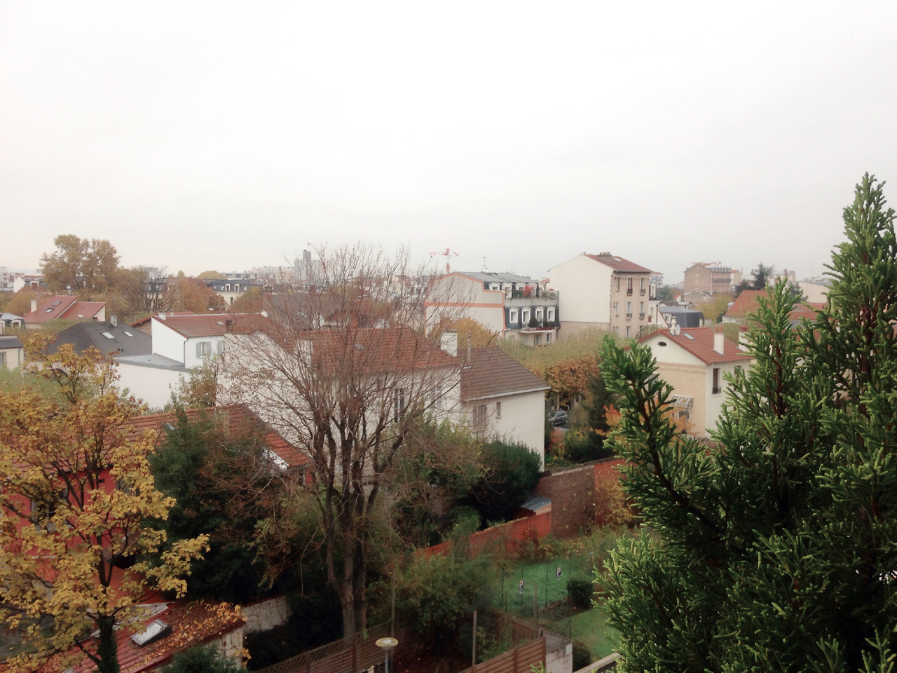 사진 2016. 11. 15. 오전 8 52 41.jpg