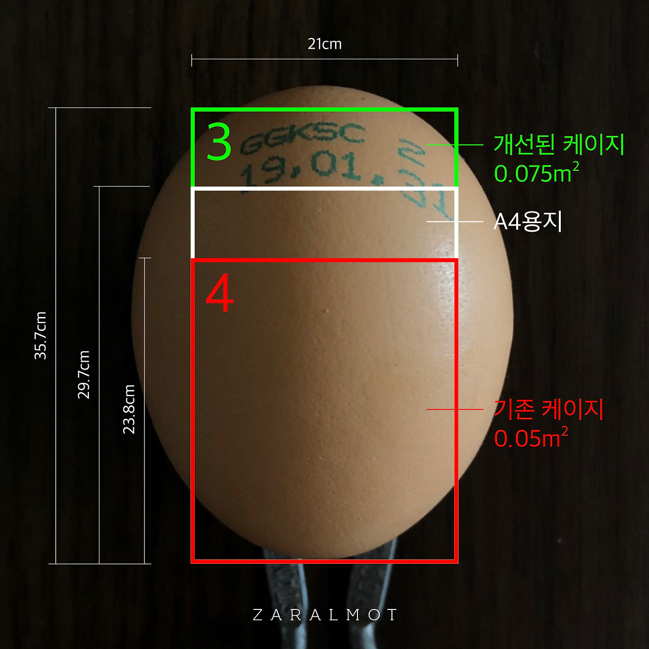 20190310_egg3.jpg