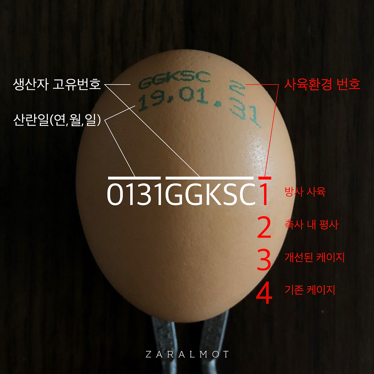 20190310_egg2.jpg