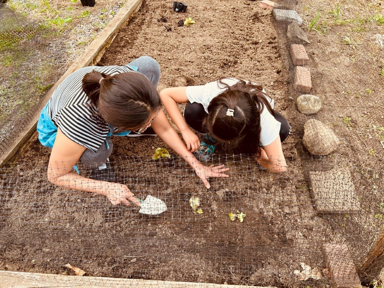 텃밭 가꾸기.jpg