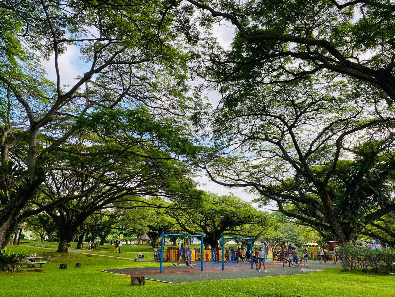 베이비뉴스 6월 1.jpg