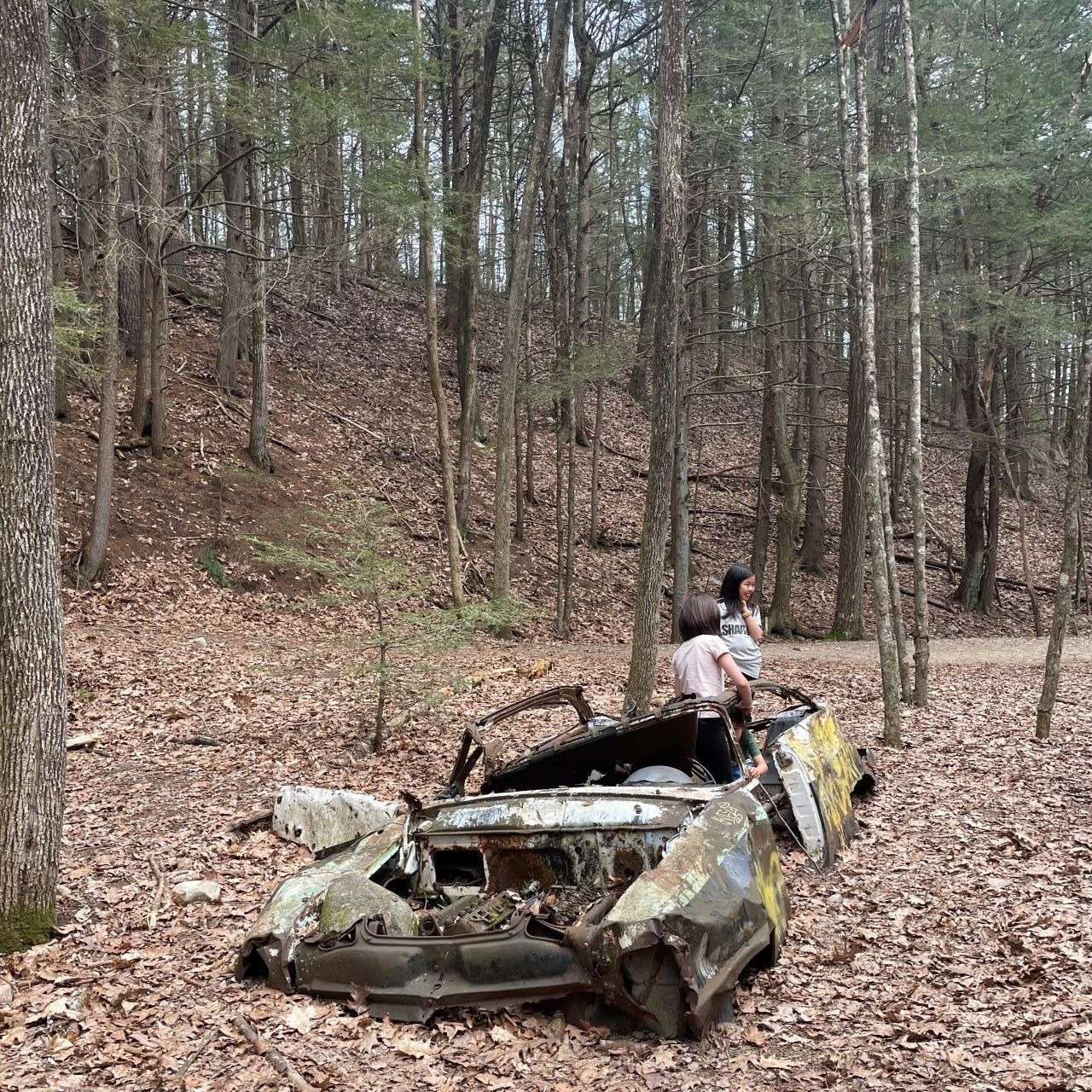 버려진 자동차.jpg