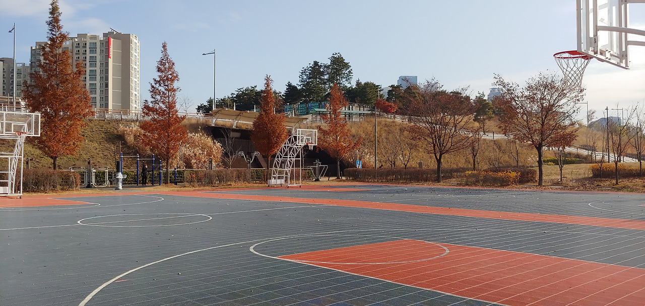 망원한강공원 (4).jpg