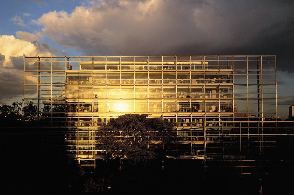 까르띠에재단 20342.jpg