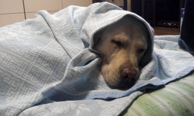 2012-11-26 14.54.11.jpg