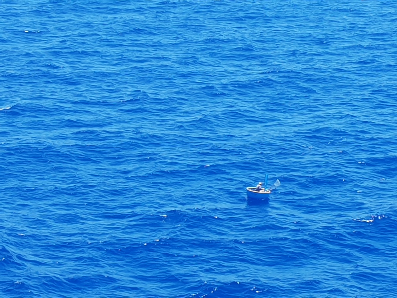 (폰사진)바구니 배 (3).jpg