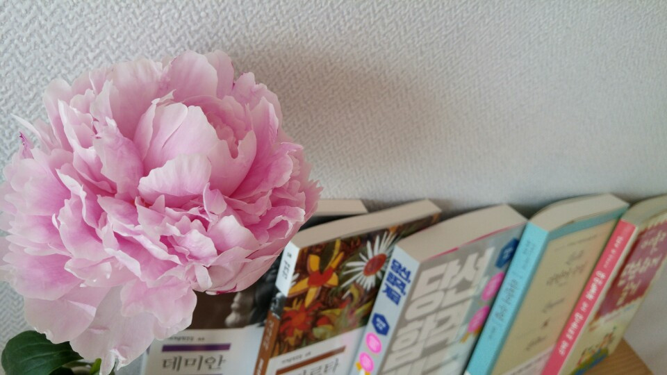 KakaoTalk_20180517_153609397 (1).jpg