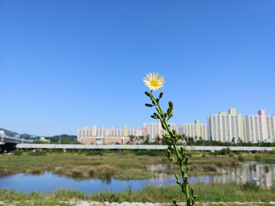 KakaoTalk_20190918_151519347_01.jpg