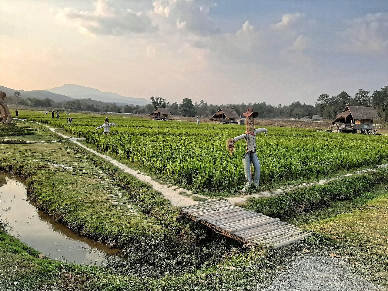 치앙마이 일일투어 02.jpg