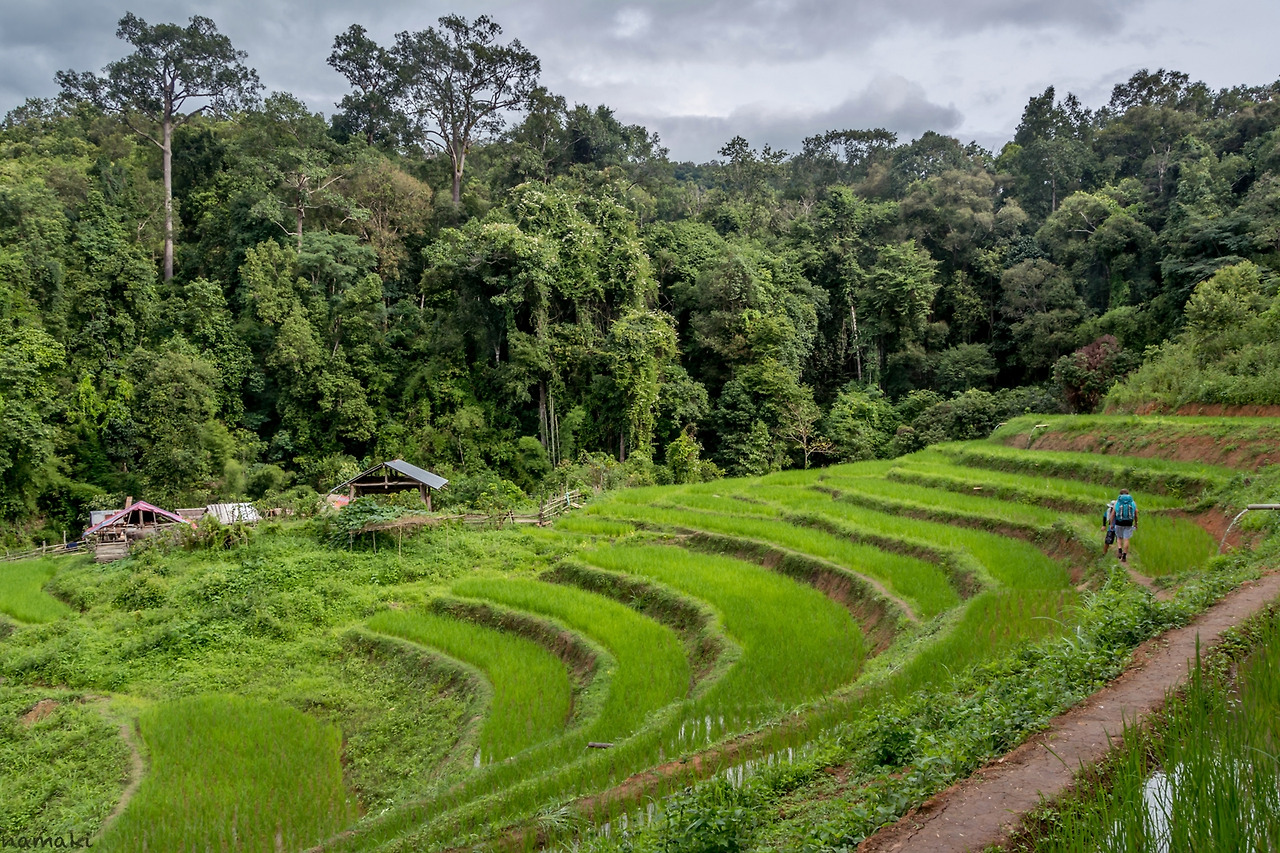 치앙마이 일일투어 05.jpg