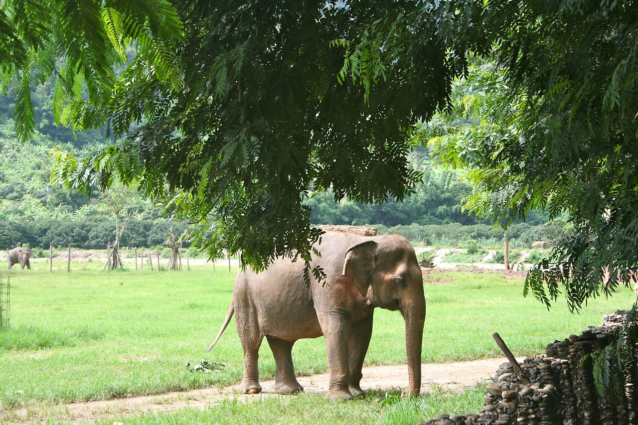 치앙마이 일일투어 04.jpg