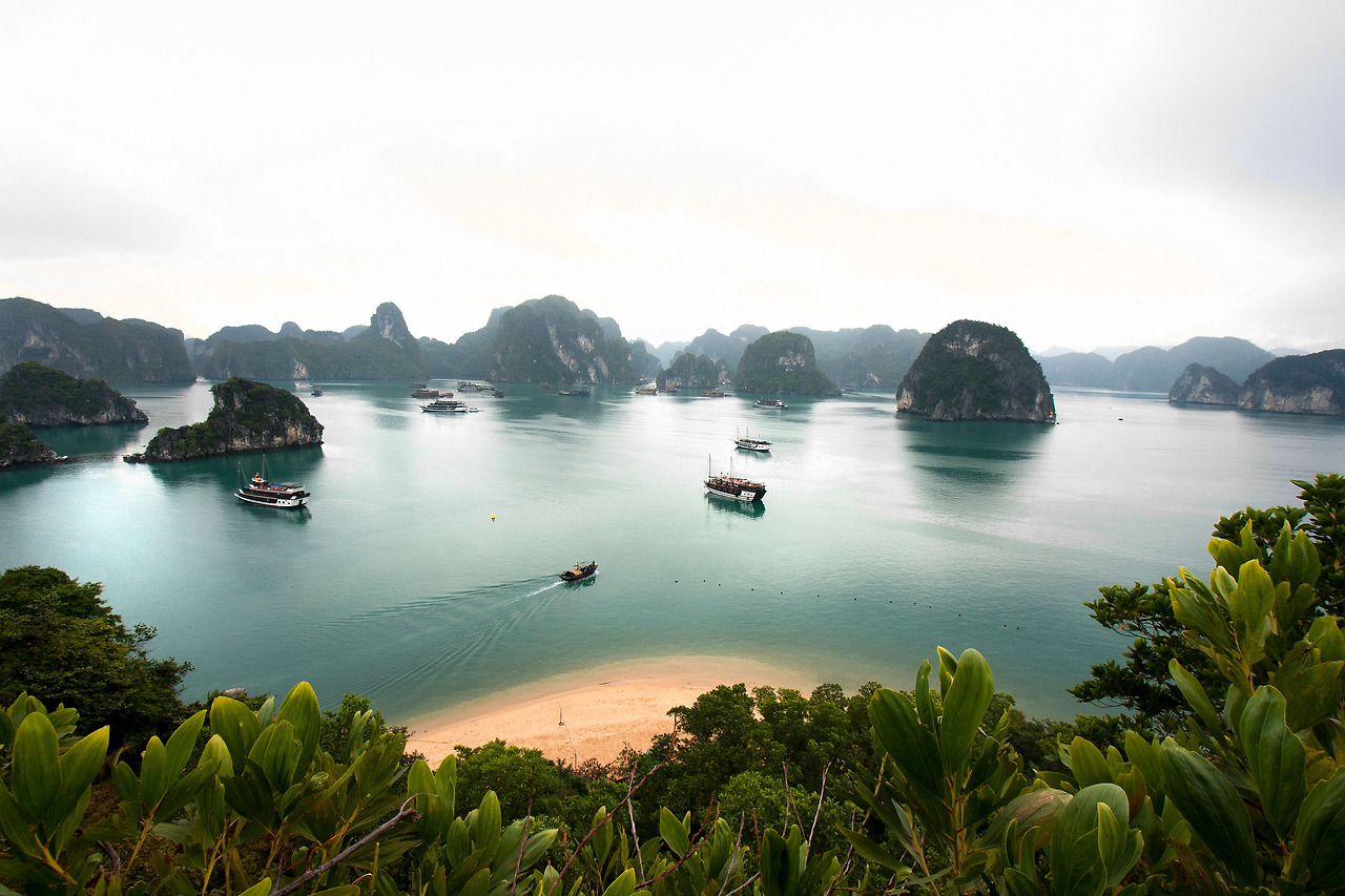 halong.jpg