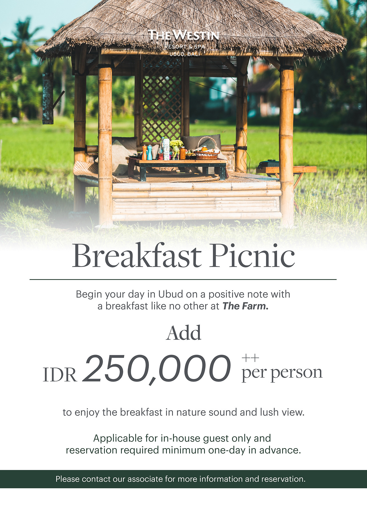 사본 -Breakfast Picnic A4[1].jpg