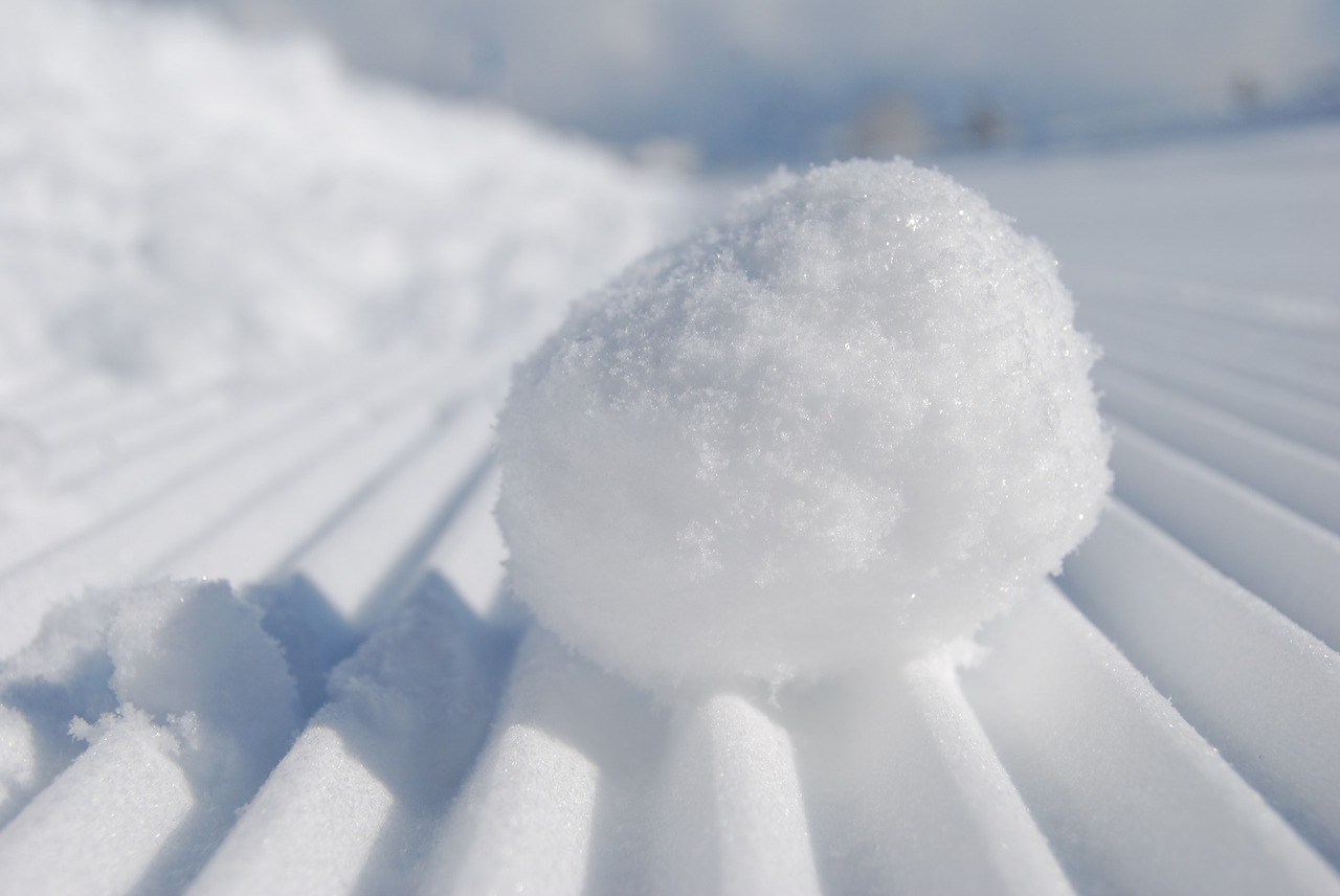 snowball-957759_1920.jpg