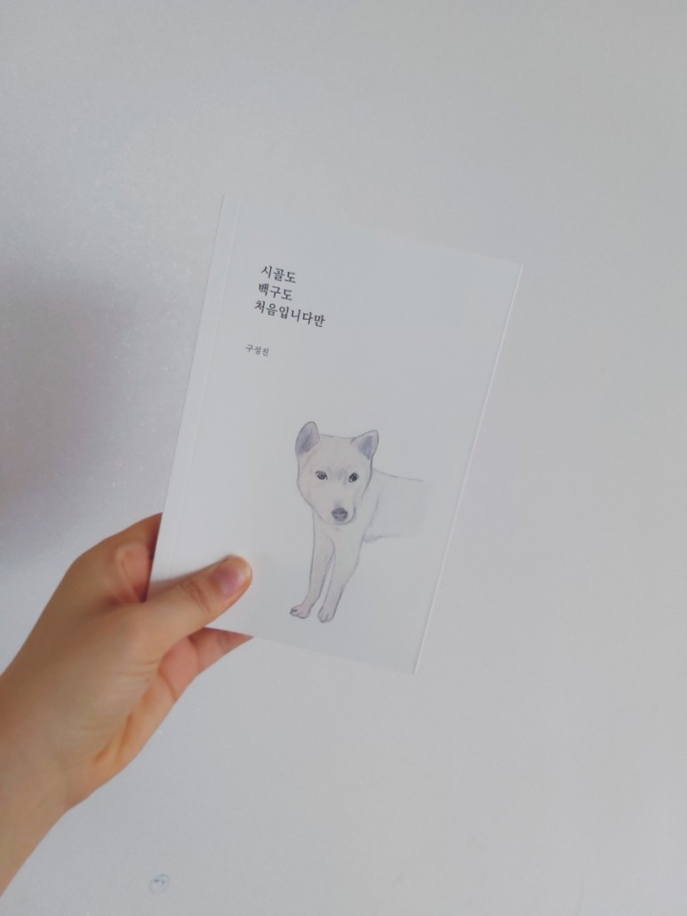 시골도 백구도.jpg