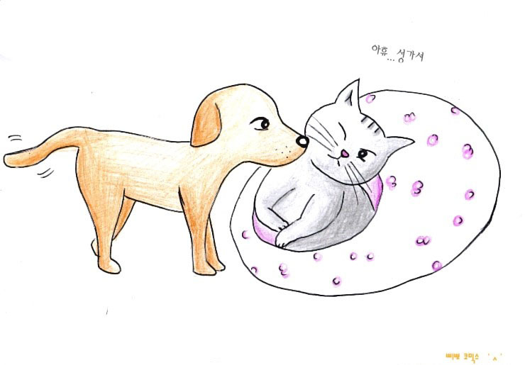 개_고양이.jpg