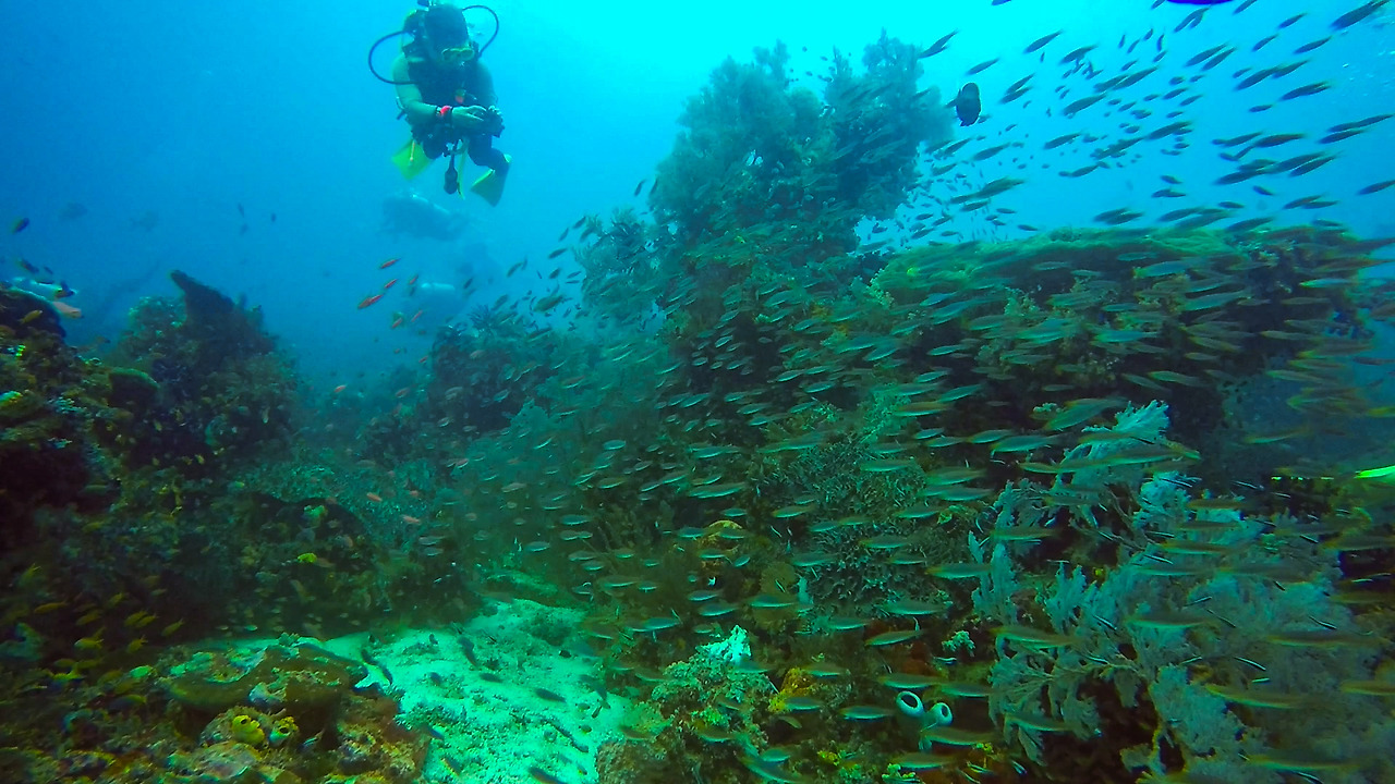 gopr2026.mp4_20201108_195957.297 (1).jpg