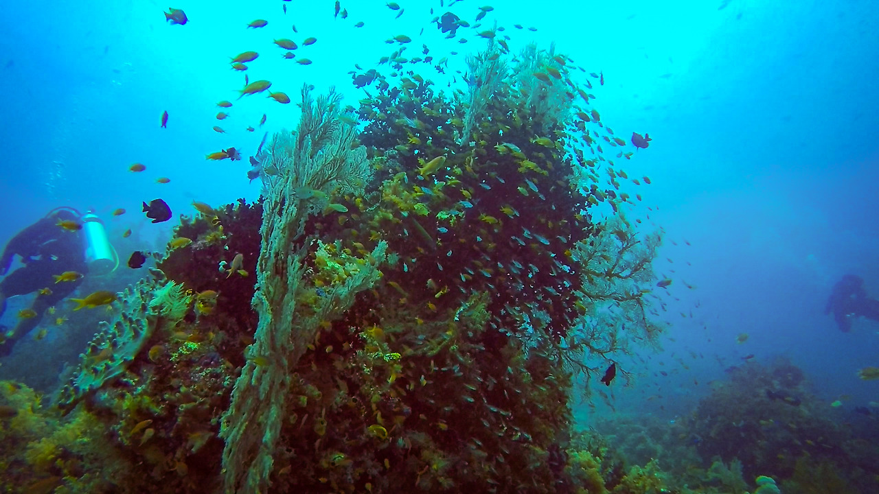 gopr2027.mp4_20201108_200017.510 (1).jpg