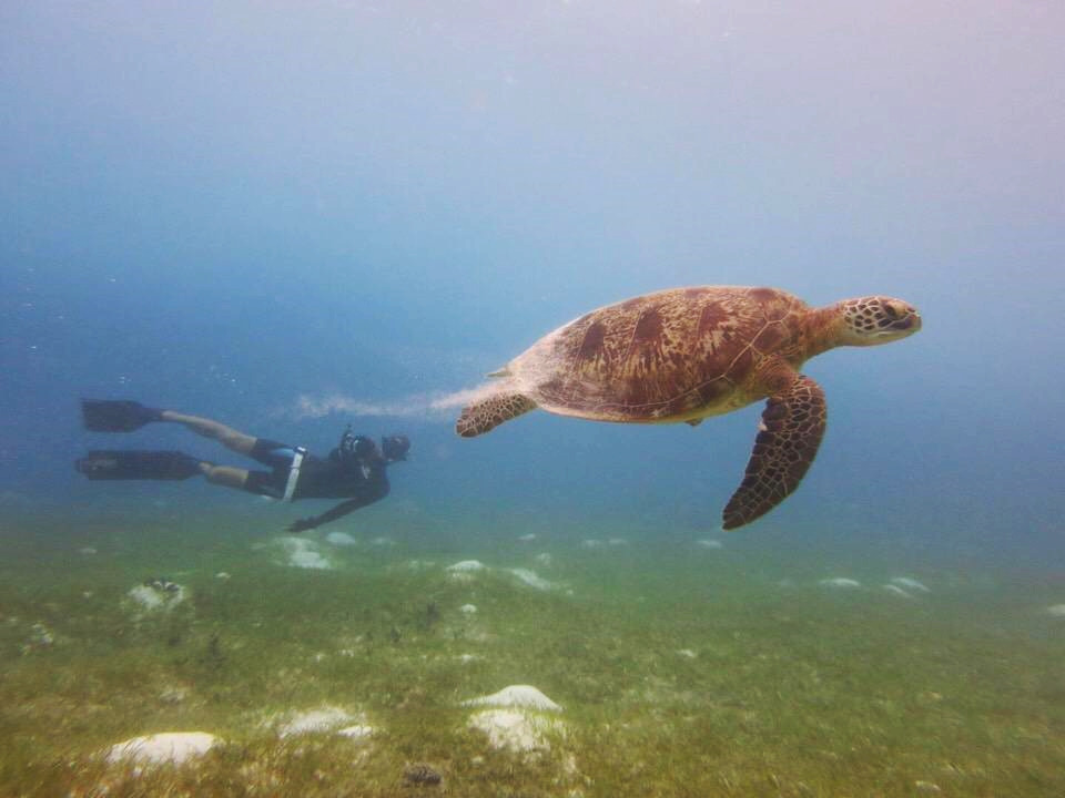 사진 2017. 10. 20. 오후 9 28 32.jpg