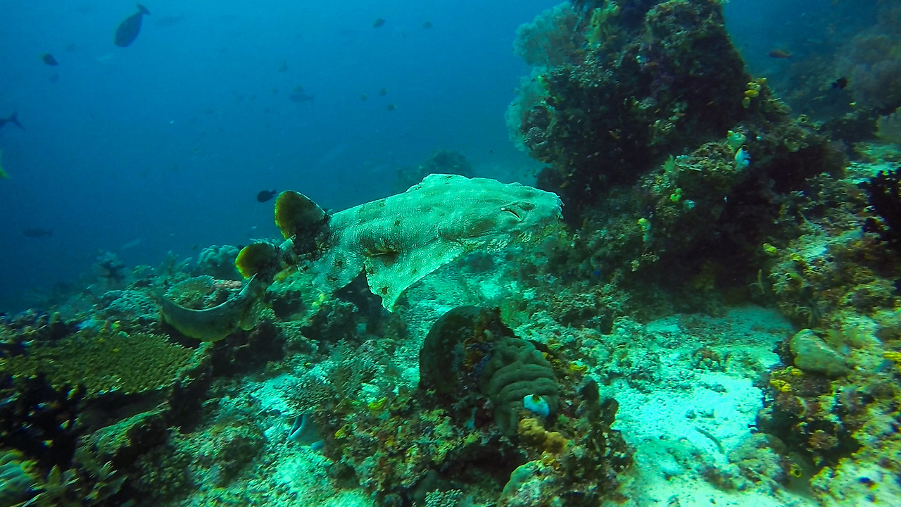 gopr2047.mp4_20201108_200257.912 (1).jpg