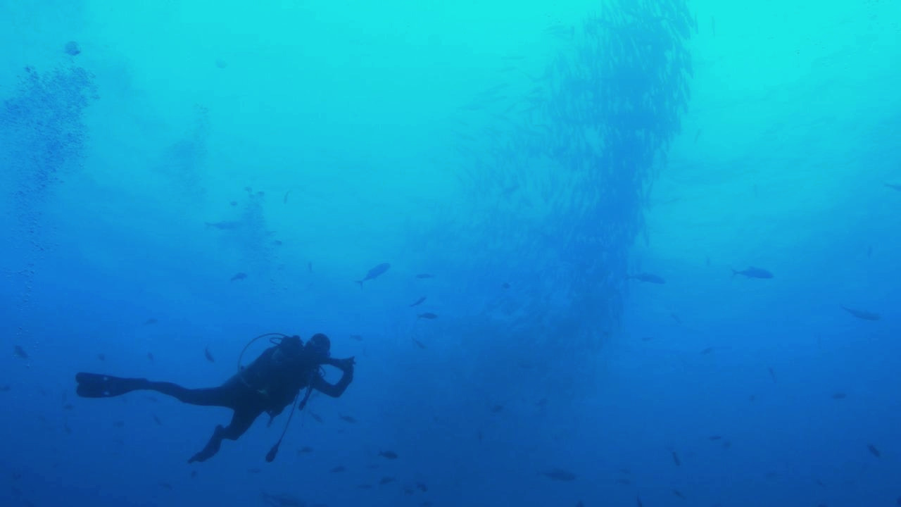 jackfish during moving2.jpg