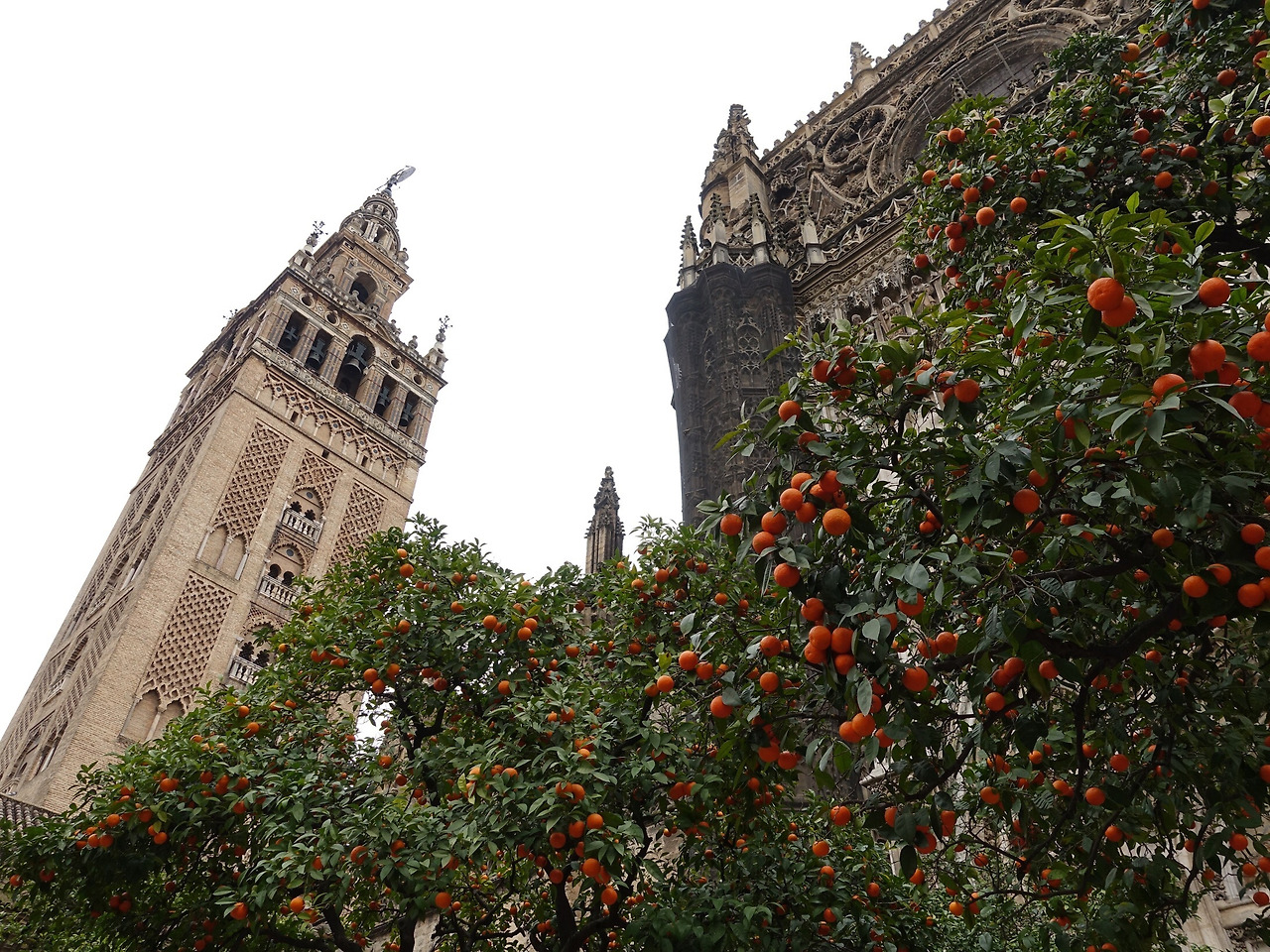 사진 2020. 2. 9. 오후 10 34 43.jpg